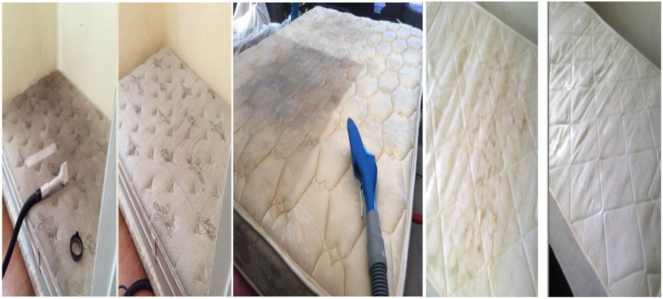 Sunshine Coast Mattress Cleaning Service