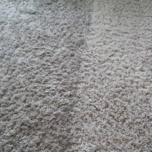 Sunshine Coast Rug Cleaning