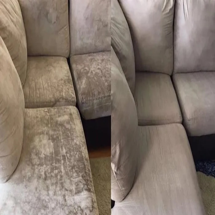 Sunshine Coast Upholstery Cleaning Service